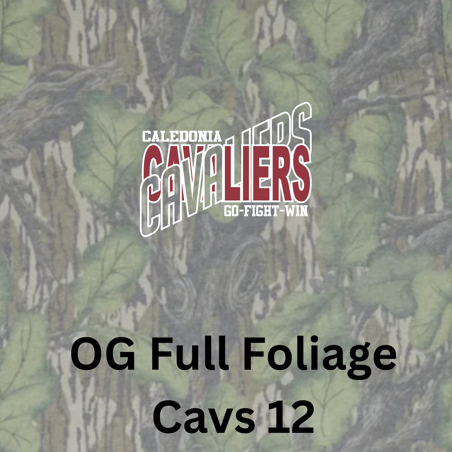 Mossy Oak Washed Out Long Sleeve w/ Print - Full Foliage