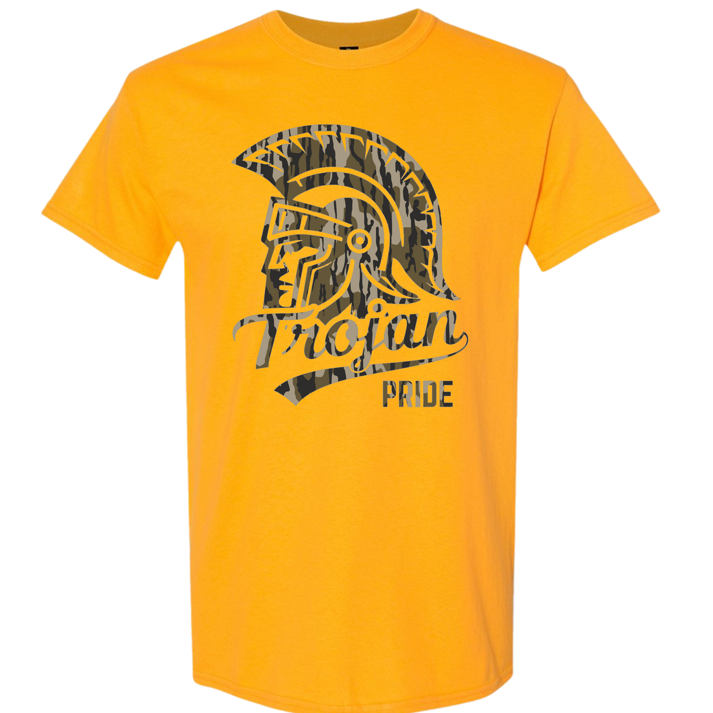 Trojans 13