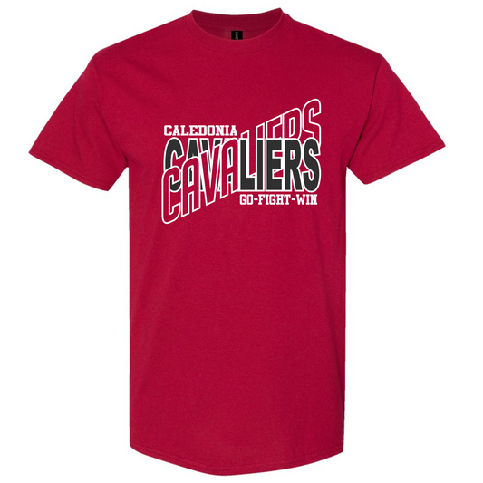 Cavaliers 12
