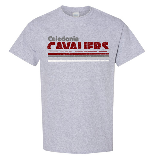 Cavaliers 29