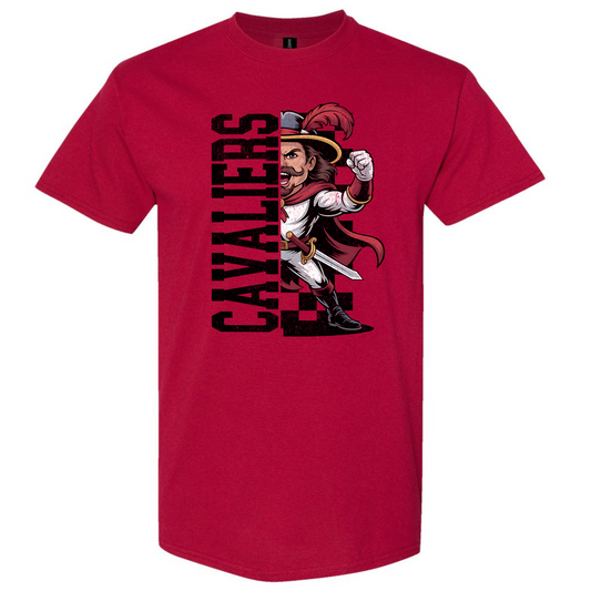 Cavaliers 31