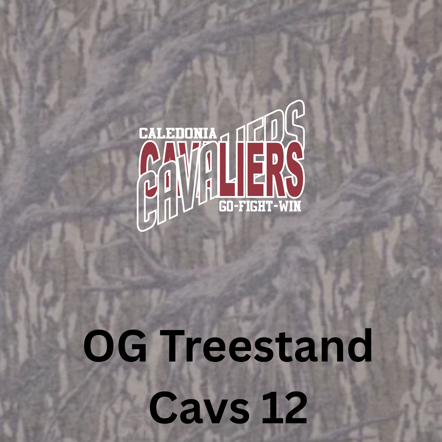 Mossy Oak Washed Out Hoodie w/ Print - Original Treestand