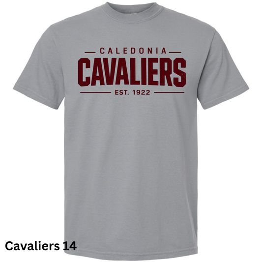 Cavs14 CC T-Shirt (Granite)